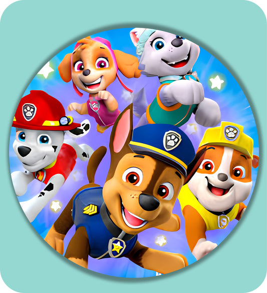 PAWPATROL 10024