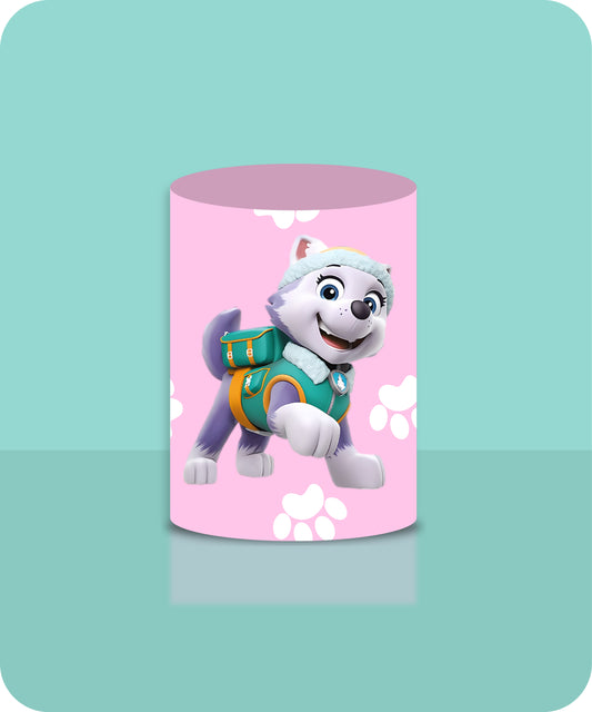 PAWPATROL 30060