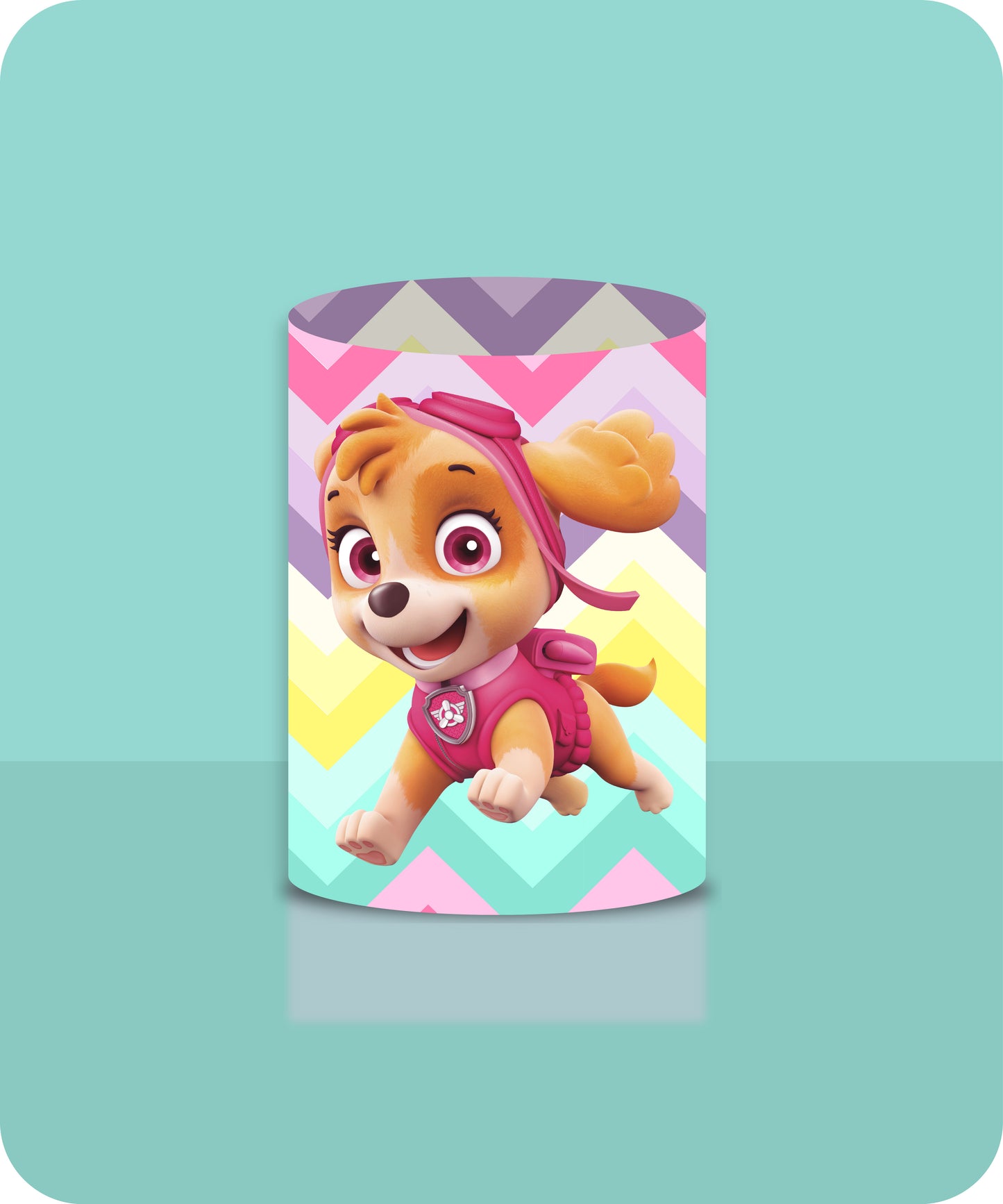 PAWPATROL 30061