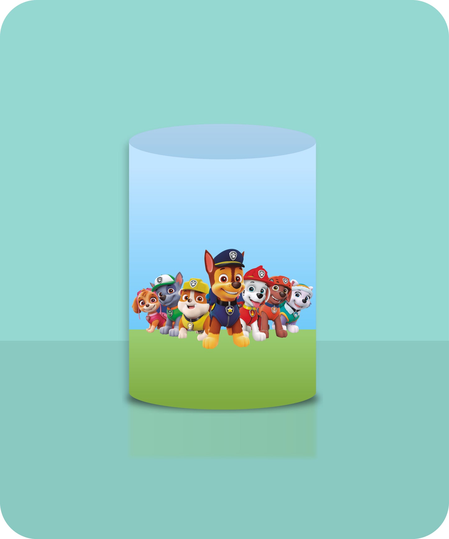 PAWPATROL 30072