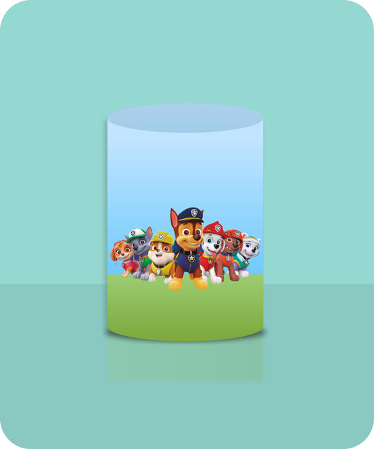 PAWPATROL 30072