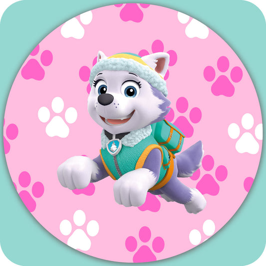 PAWPATROL 1064