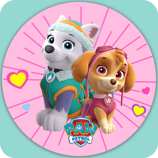 PAWPATROL 1065