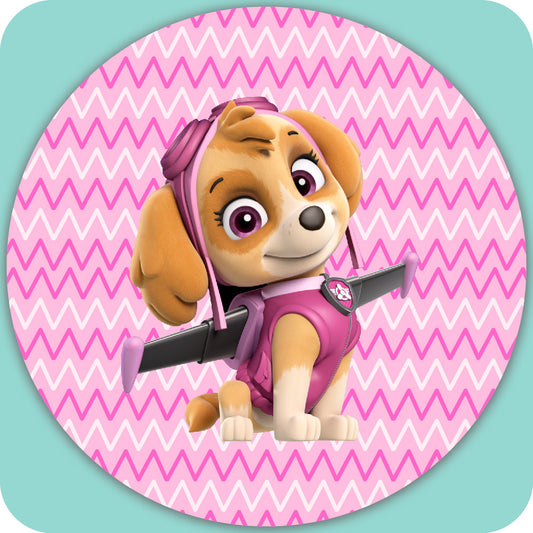 PAWPATROL 1066