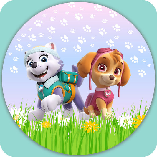 PAWPATROL 1143